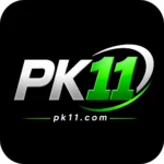 PK11 Game