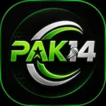 PAK 14 Apk Game Download 2026 – Latest Android App