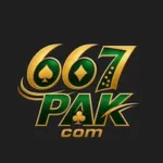 667PAK Mobile Gaming App